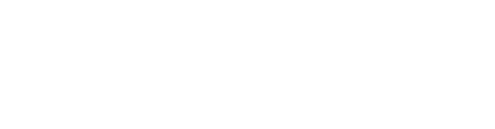 BitNinja Server Security